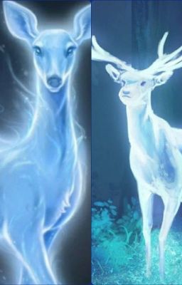 Mi patronus {Harry Y Tú} cover