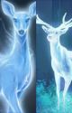 Mi patronus {Harry Y Tú} by Annabellae7