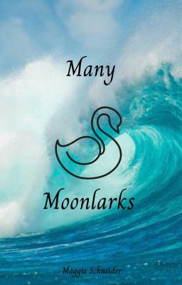 Many Moonlarks✔ cover