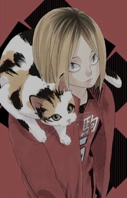 unsaved number. - kenma fanfic cover