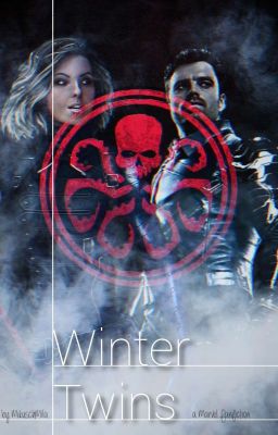 Winter Twins  cover