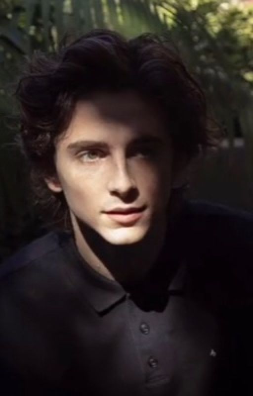 TIMOTHÉE CHALAMET SMUT & FLUFF by marvellover_chlmt