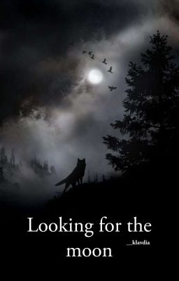 Looking for the moon <Wolfstar> cover