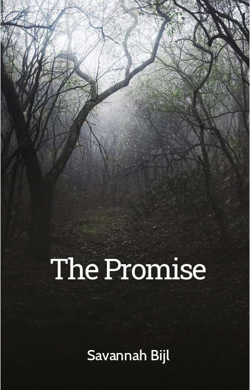 The Promise by ThisLibraWrites