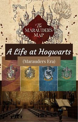 A life at Hogwarts (Marauders Y/n) cover