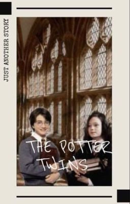 The Potter Twins (First Year) cover