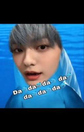 Da🐬Da🐬da by prod-jk