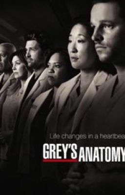 What if? (Grey's Anatomy Edition) cover