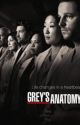 What if? (Grey's Anatomy Edition) by LeewayEcho