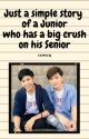 JUST A SIMPLE STORY OF A JUNIOR WHO HAS A BIG CRUSH ON HIS SENIOR by SMzq07