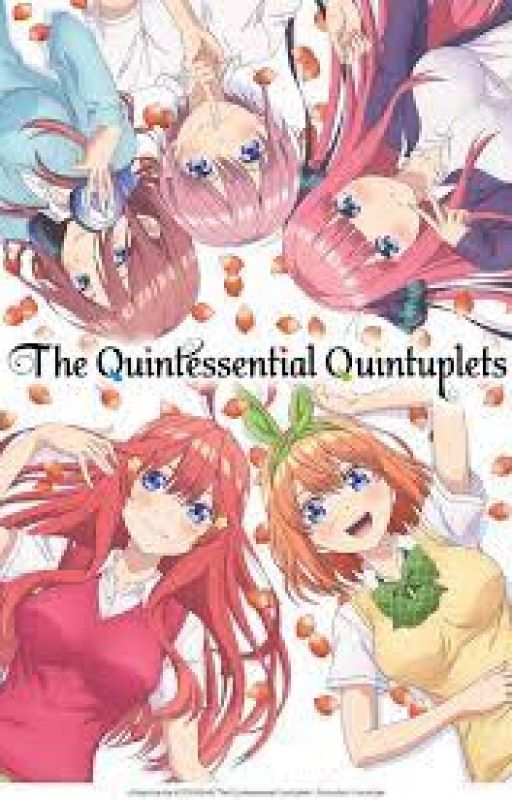 The Quintessential Quintuplets x Male Reader by Mistermister666