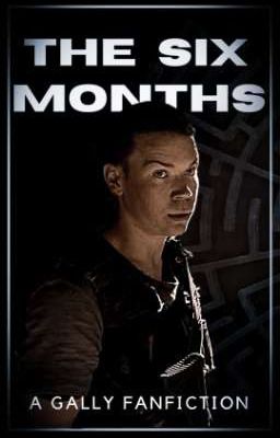 The Six Months: A Gally Fanfiction  cover