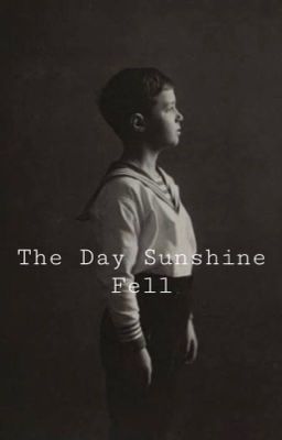 The Day Sunshine Fell cover