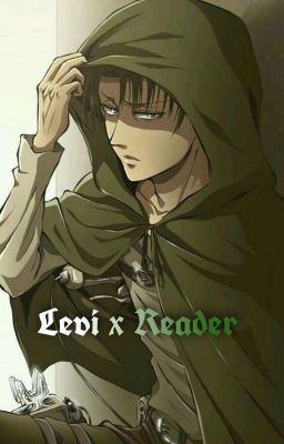 Pain / Levi X Reader cover