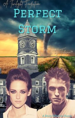 The Perfect Storm cover