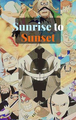 Sunrise To Sunset (Whitebeard Pirates x child Reader) cover