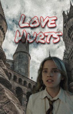 Love Hurts | Hermione X Reader cover