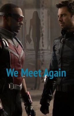 We Meet Again (Falcon and the Winter Soldier)  cover