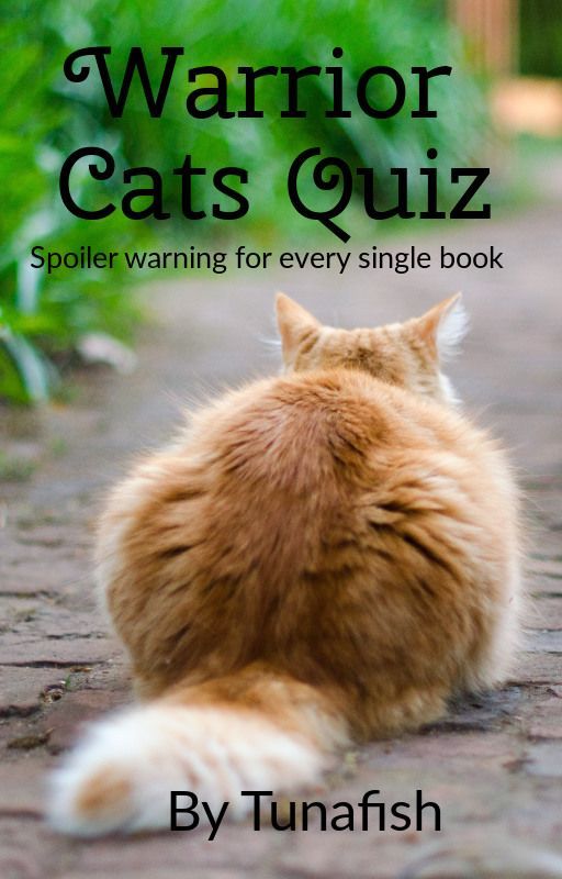 Warrior Cats Quiz by SoapyGrandma