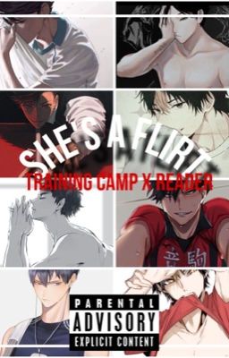 She's a flirt (training camp x reader) cover