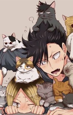 Kitty ~ Kuroken cover