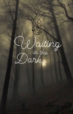 Waiting in the Dark cover