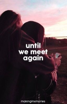 Until We Meet Again cover