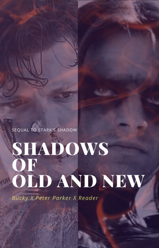 Shadows of Old and New (Bucky X Peter Parker X Reader) by icyshadow1185