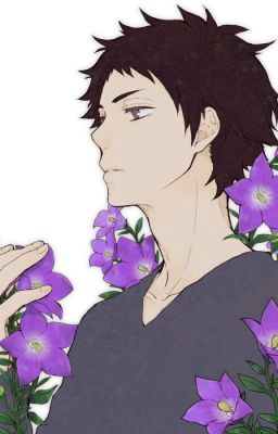 Still into you(I think) {K. Akaashi } cover