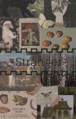 ~Stranger discontinued~ cover