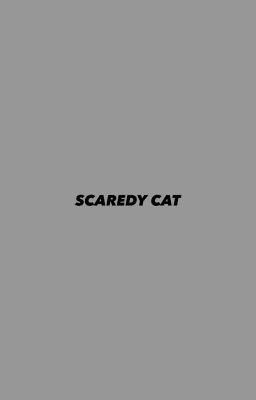 scaredy cat ★ drarry cover