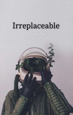 Irreplaceable  cover