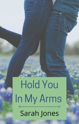 Hold You In My Arms (Stevens book 9) cover