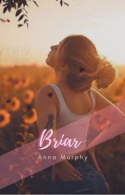 Briar cover