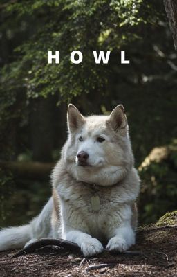 H  O  W  L cover