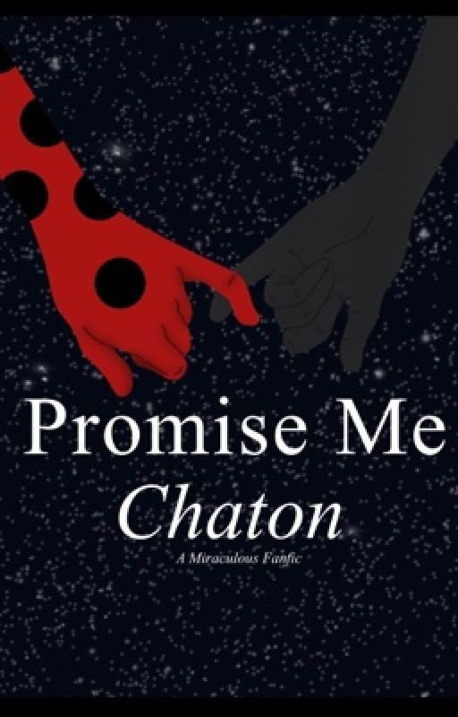 Promise Me Chaton ~ Miraculous Fanfic by yourlocalcoffeeshop