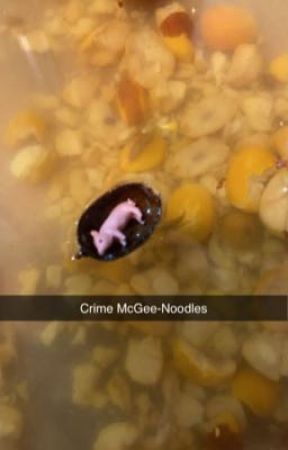 Mr. Mcgee-Noodles by thegreatsamm1020