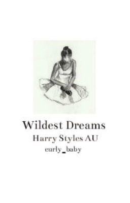 Wildest Dreams (h.s. au) cover