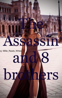 The Assassin and 8 brothers - Completed cover