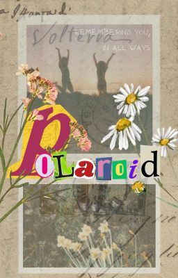 P0LAR0ID cover