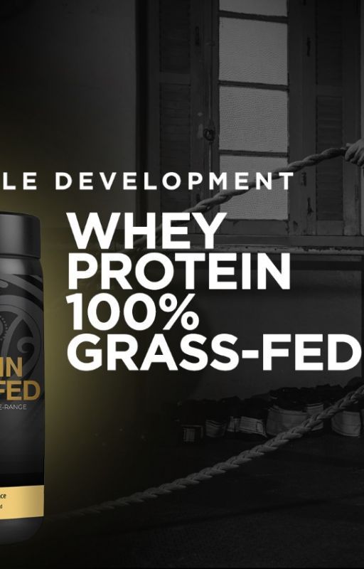 How to Get the Most Out Of Your Whey Protein Powder by FREZZORInc