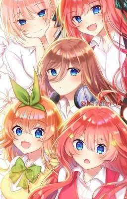 Become a Tutor to 5 Dumbest Woman (The Quintessential Quintuplets X Male Reader) cover