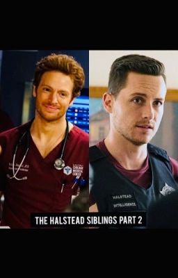 The Halstead Siblings Part 2 cover