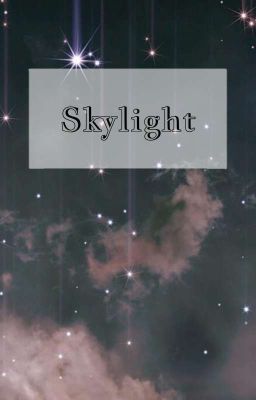 Skylight cover