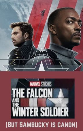 The Falcon and the Winter Soldier (But Sambucky is canon) by JustThatBooklife_AK