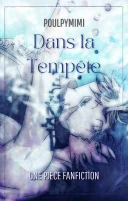 Dans la tempête cover