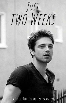 Just Two Weeks || Sebastian Stan x Reader cover