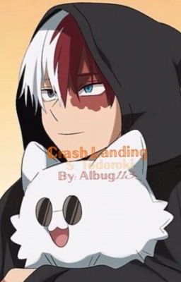 Crash Landing (Shoto Todoroki x fem reader) cover