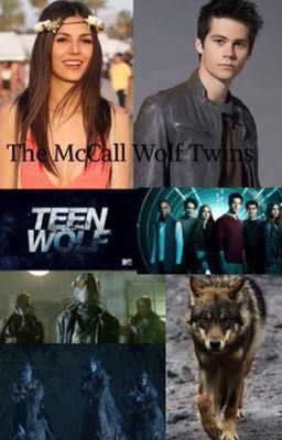 The McCall Wolf Twins || Book 3   cover