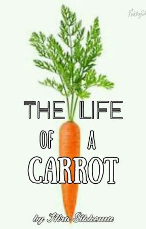 The Life of a Carrot. by nirosikkema